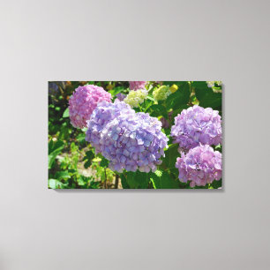 Hydrangea-Kanvastryck Canvastryck