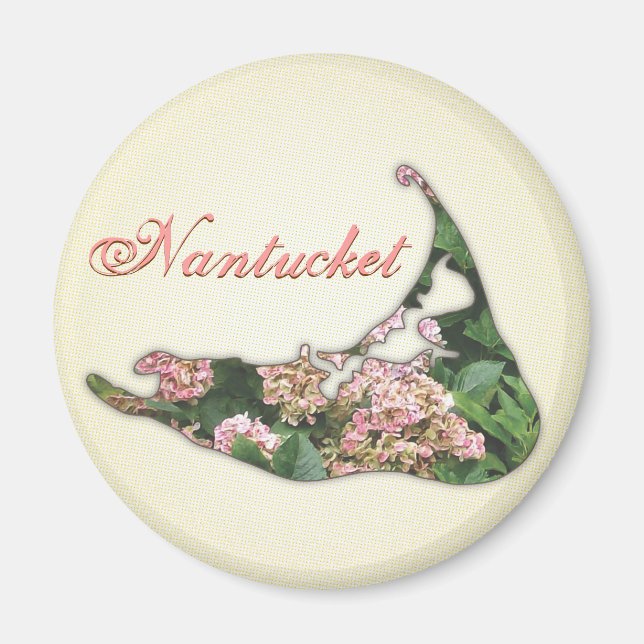 Hydrangea Karta på Nantucket Island, Massachusetts Magnet (Framsidan)