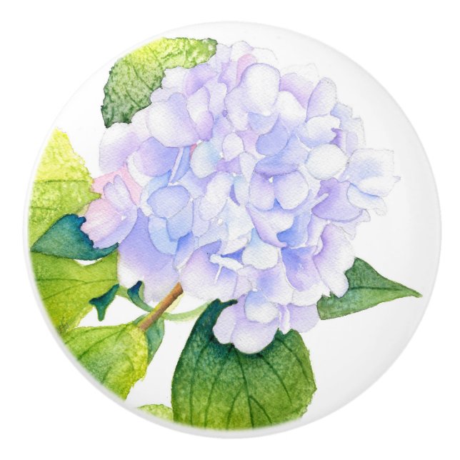 Hydrangea Knopp (Framsidan)