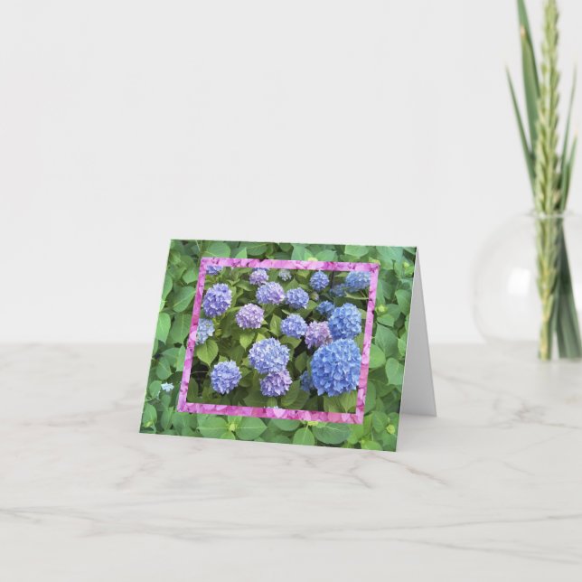 Hydrangea! Kort (Framsida)