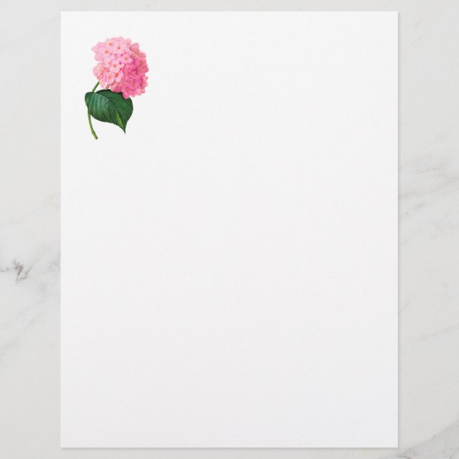Hydrangea Letterhead (Framsida)