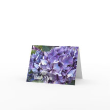 Hydrangea Lila Flower