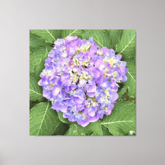 Hydrangea - Lila - Kanvastryck