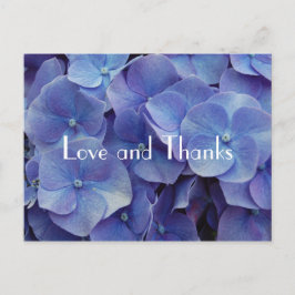 Hydrangea Lila Tack vykort