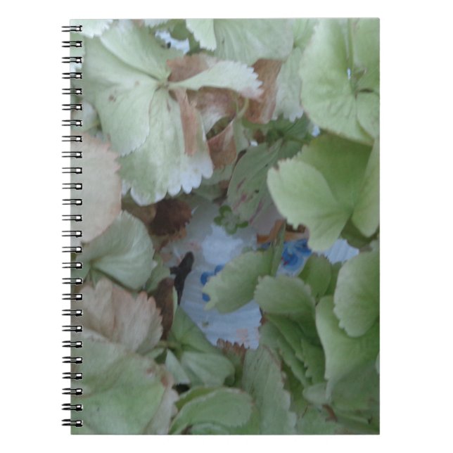 Hydrangea löv anteckningsbok (Framsidan)