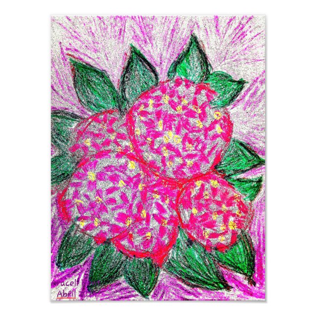 Hydrangea macrophylla fototryck (Framsidan)