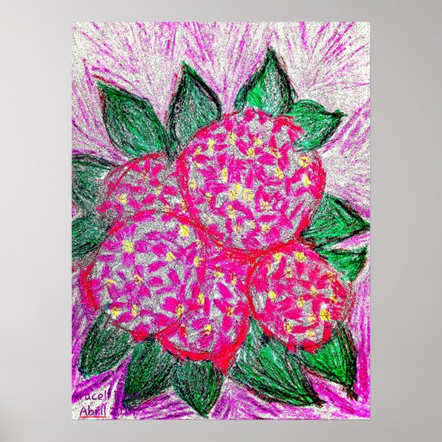 Hydrangea macrophylla poster (Framsidan)