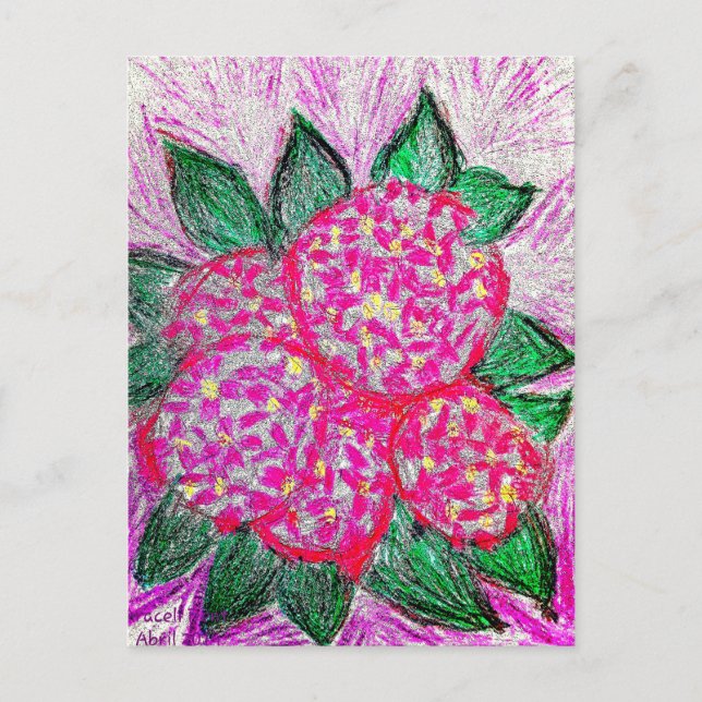 Hydrangea macrophylla vykort (Framsida)