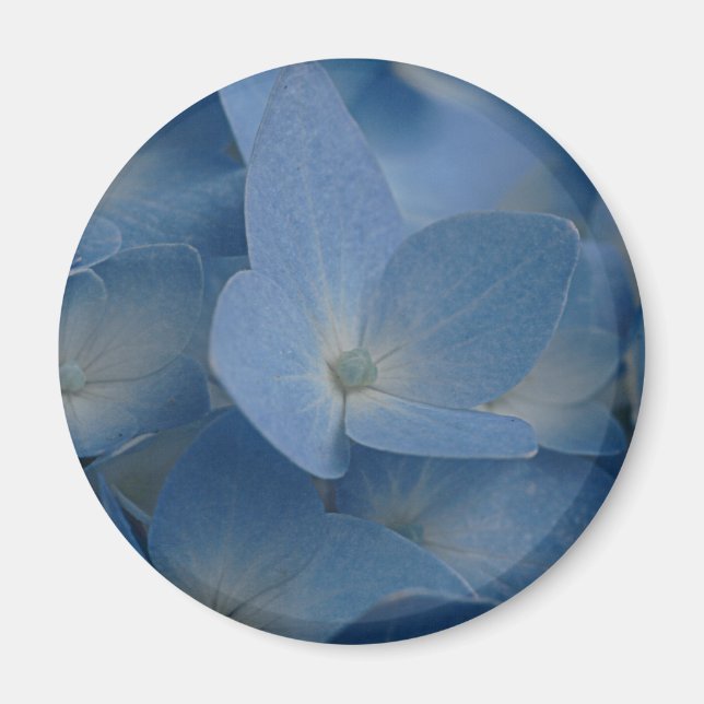 hydrangea magnet (Framsidan)