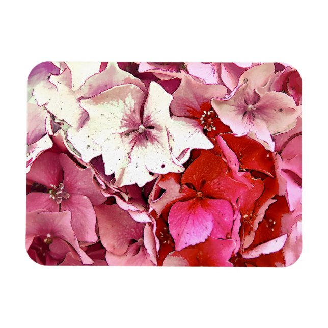 HYDRANGEA MAGNET (Horisontell)