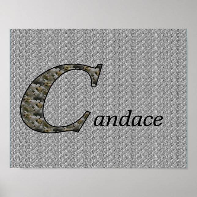 Hydrangea Monogram Initial C Personlig Poster (Framsidan)