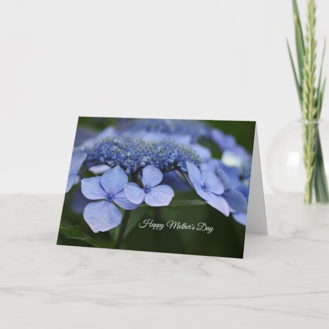 Hydrangea Mors dag-kort Kort (Framsida)