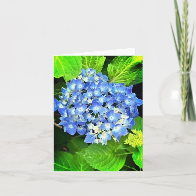 Hydrangea Note Card Anteckningskort (Framsida)