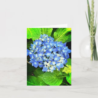 Hydrangea Note Card Anteckningskort