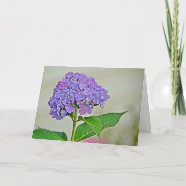 Hydrangea Note Card Kort (Framsida)