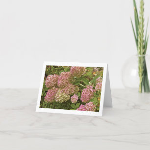 "HYDRANGEA" NOTECARD KORT