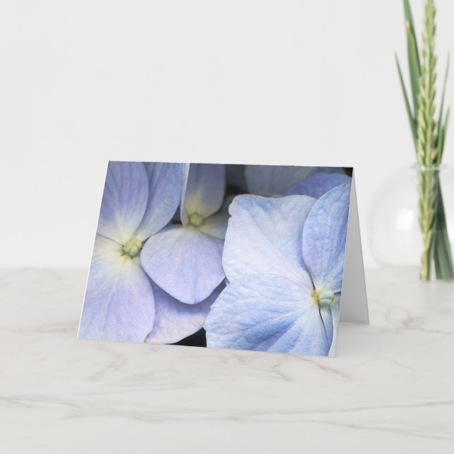 Hydrangea Petals Greeting Card Kort (Framsida)