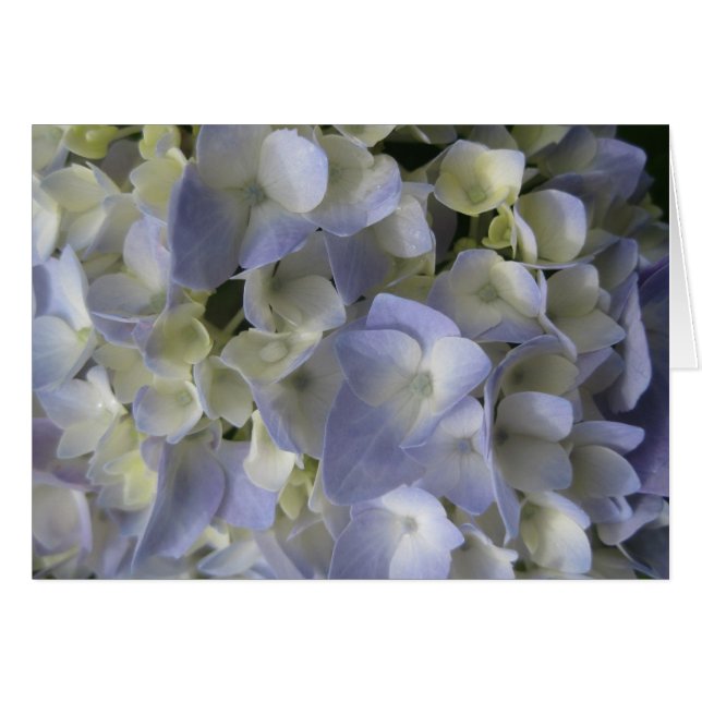 Hydrangea petals hälsningskort (Framsidan Horizontal)