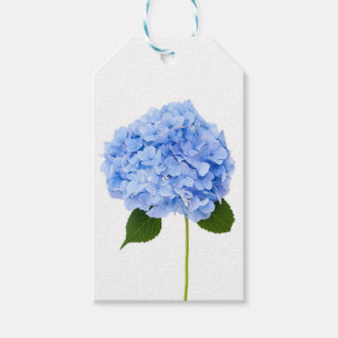 Hydrangea Presentetikett