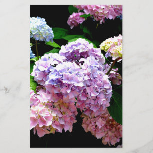 Hydrangea rosa blommigt blue lila blommigt brevpapper