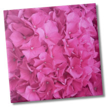 Hydrangea Rosa Flower Mönster