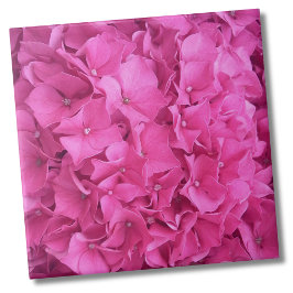 Hydrangea Rosa Flower Mönster Kakelplatta