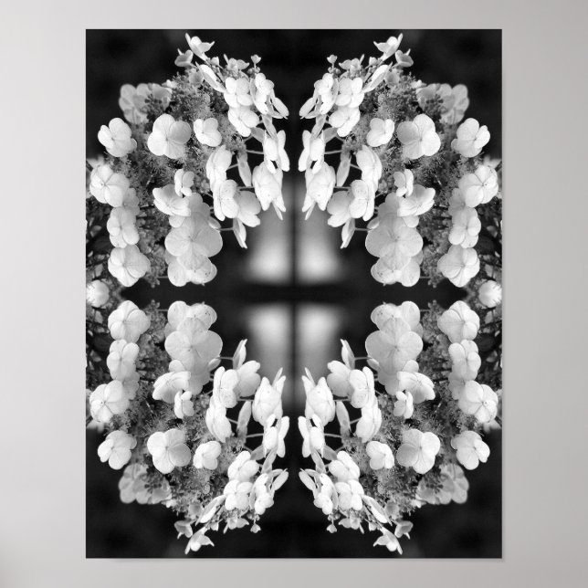 Hydrangea Svart Och Vitt Spegelabstrakt    Poster (Framsidan)