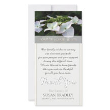 Hydrangea Sympathy Tack-fotokort