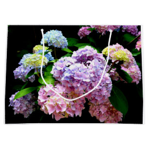 Hydrangea-trädgård, rosa, blått, lila blommigt