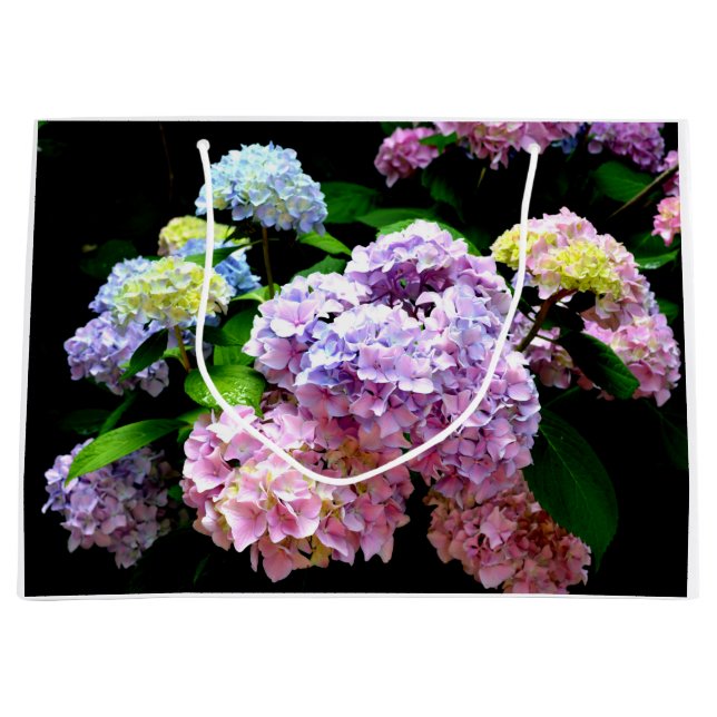 Hydrangea-trädgård, rosa, blått, lila blommigt (Framsidan)