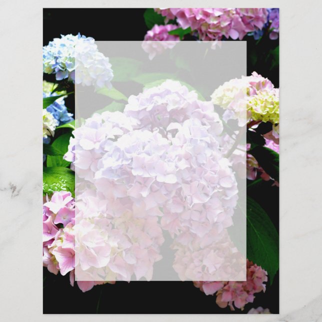 Hydrangea-trädgård, rosa, blått, lila blommigt (Framsida)