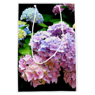 Hydrangea-trädgård, rosa, blått, lila blommigt