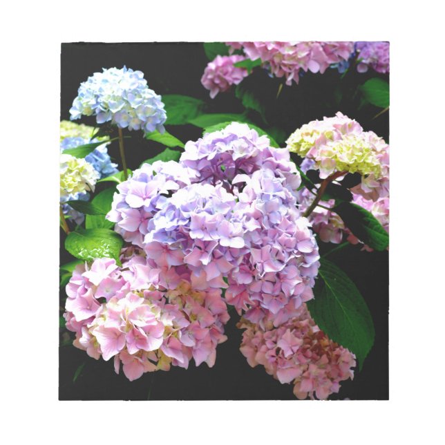 Hydrangea-trädgård, rosa, blått, lila blommigt anteckningsblock (Framsida)