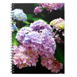 Hydrangea-trädgård, rosa, blått, lila blommigt anteckningsbok med spiral