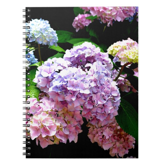Hydrangea-trädgård, rosa, blått, lila blommigt anteckningsbok med spiral (Framsidan)