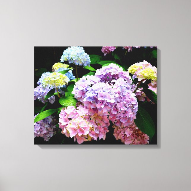 Hydrangea-trädgård, rosa, blått, lila blommigt canvastryck (Framsida)