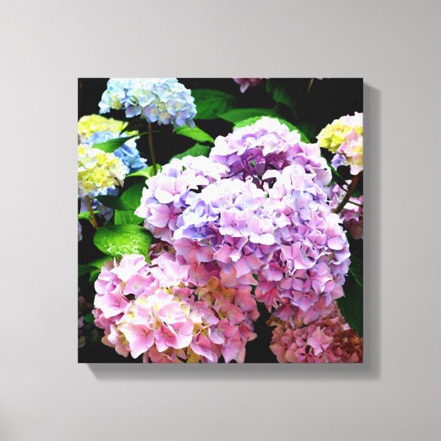 Hydrangea-trädgård, rosa, blått, lila blommigt canvastryck (Framsida)