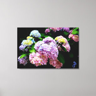 Hydrangea-trädgård, rosa, blått, lila blommigt canvastryck