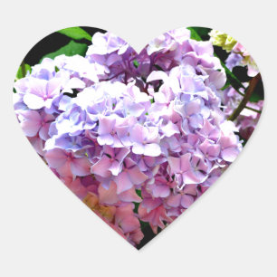 Hydrangea-trädgård, rosa, blått, lila blommigt hjärtformat klistermärke