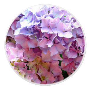 Hydrangea-trädgård, rosa, blått, lila blommigt knopp