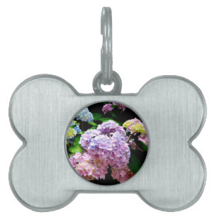 Hydrangea-trädgård, rosa, blått, lila blommigt namnbricka husdjur