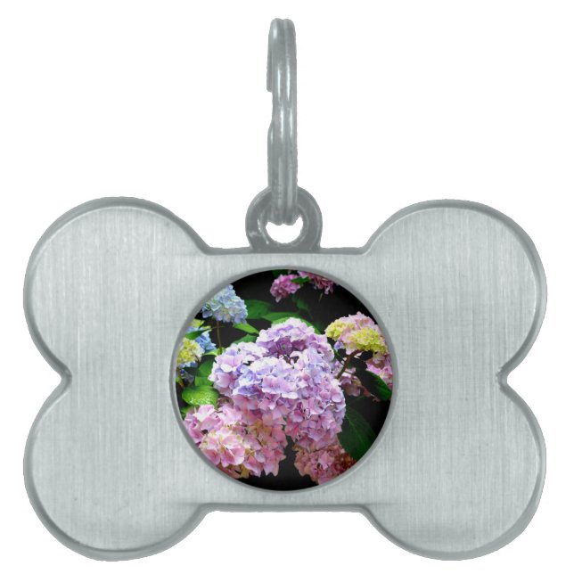 Hydrangea-trädgård, rosa, blått, lila blommigt namnbricka husdjur (Framsidan)