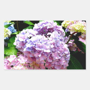 Hydrangea-trädgård, rosa, blått, lila blommigt rektangulärt klistermärke