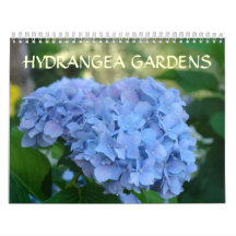 HYDRANGEA TRÄDGÅRDAR Kalender Blå Hortensia