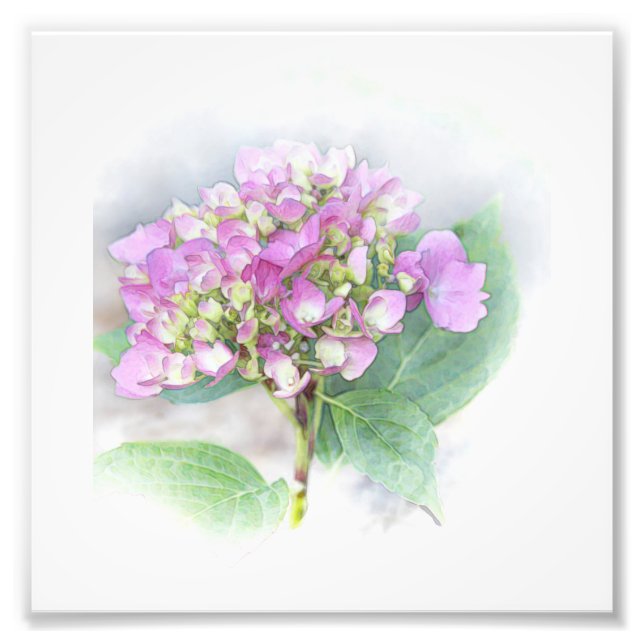 Hydrangea Vignette Photo Print Fototryck (Framsidan)