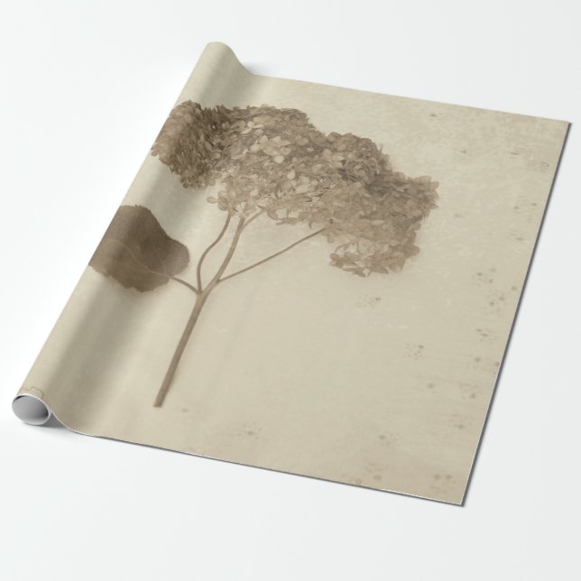 Hydrangea Vintage Antique Sepia Rustic Blommigt Presentpapper (Utrullad)