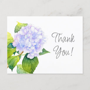 Hydrangea Vykort