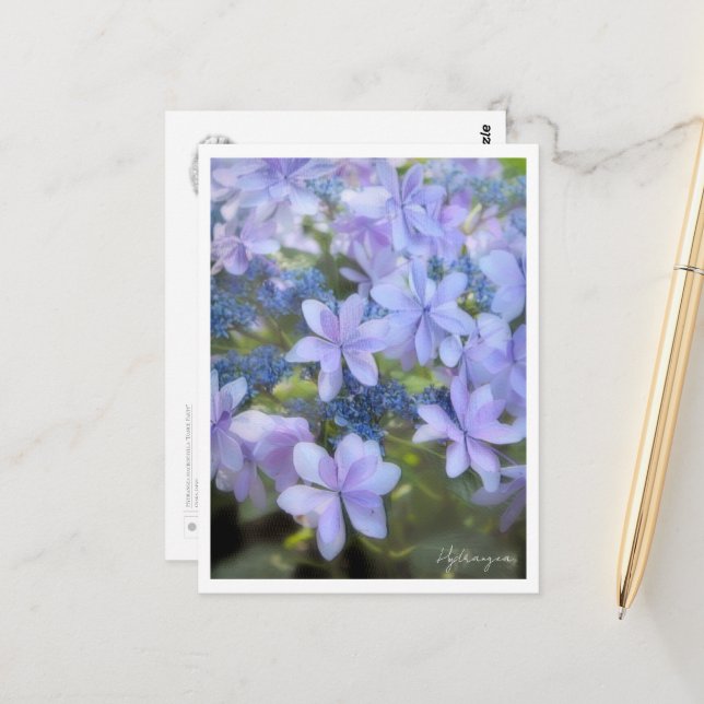 Hydrangea Vykort (Fram/Back In Situ)