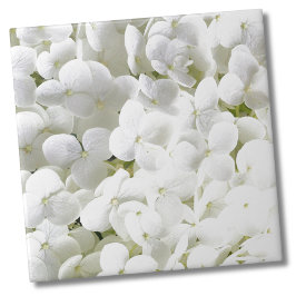 Hydrangea White Blommönster Kakelplatta