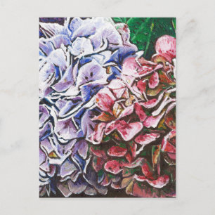 Hydrangeas 2010 vykort